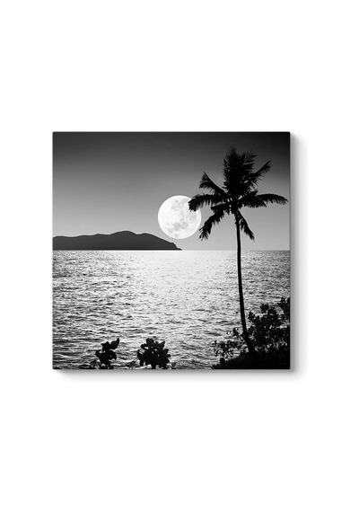 Yakamoz Tablosu 40 X 40 -