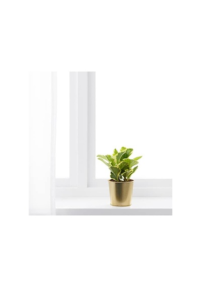 Daıdaı Galvanizli Çelik Saksı - Gold Pirinç Rengi - 9 Cm
