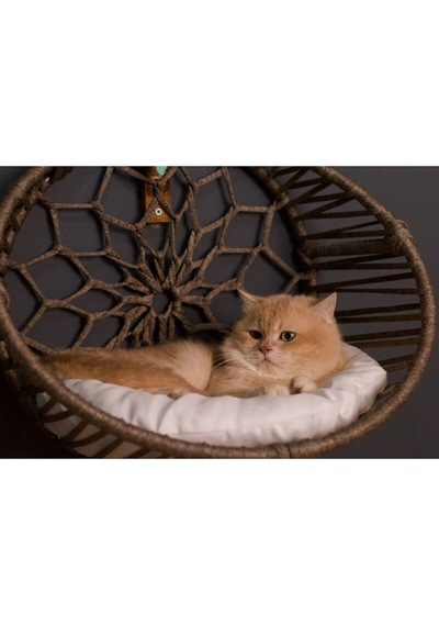 Kedi Köpek Kalorifer Askılı Yatak