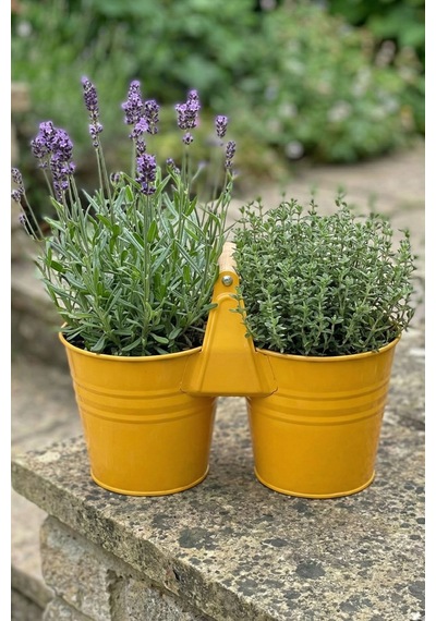 İkiz Saksılık Metal 10 Cm - Dekoratif Çiçeklik Kova Ve Çok Amaçlı Düzenleyici Sarı