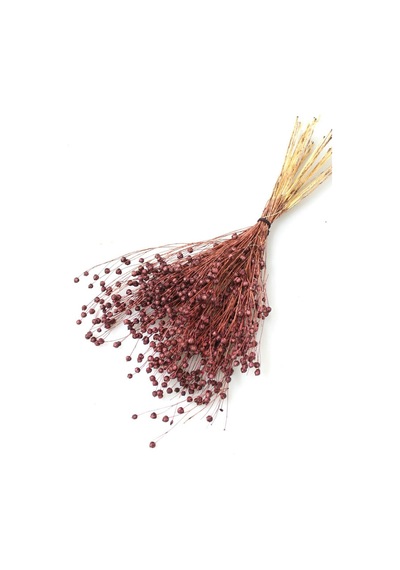 Kuru Çiçek Luna Keten Otu 60 Gr Kahverengi