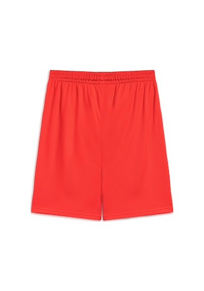 Puma Basketbol Antrenman Şort 605472 02 Kırmızı