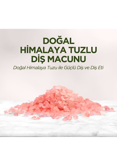 Doğal Diş Macunu 90 Gr Himalaya Tuzlu