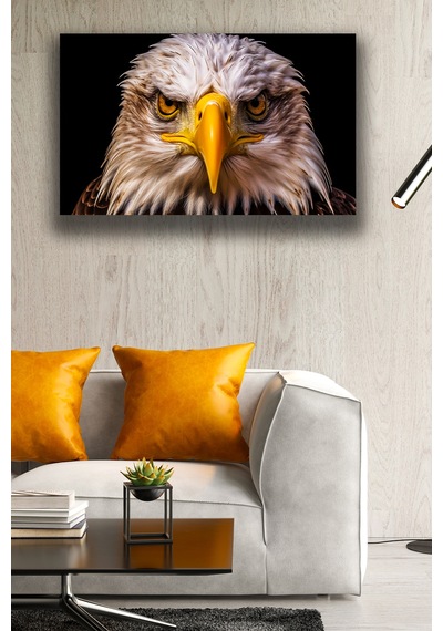 Kartal Bakışı Resimli Tablo, Ev, Salon, Ofis Duvar Dekoru, Kartal Süsü, Kartal Duruşu Pano