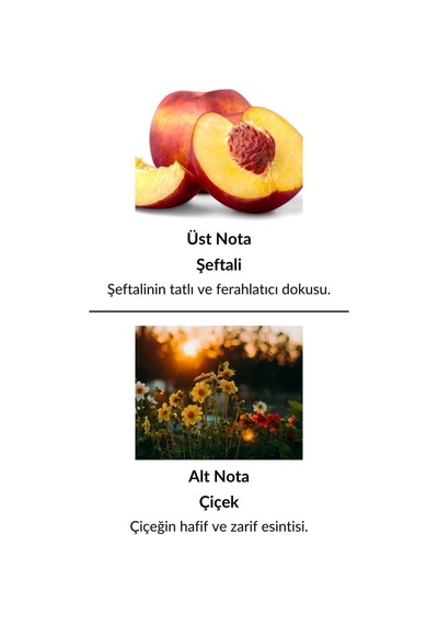 Alescia St-26 Kadın Parfüm EDP 50 ML