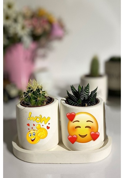 Tabaklı Wow Baskılı Mini Saksı Seti Hediyelik Dekoratif