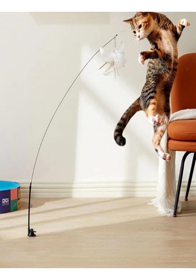 Ayrex Tineke Yeni Vantuzlu Kedi Oyun Oltası Tüy Toplu Kedi Eğlence Oyuncağı