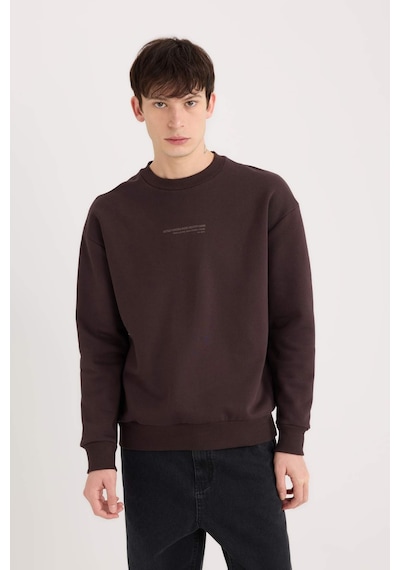 DeFacto Boxy Fit Bisiklet Yaka Baskılı Sweatshirt X8282AZ24AUBN337