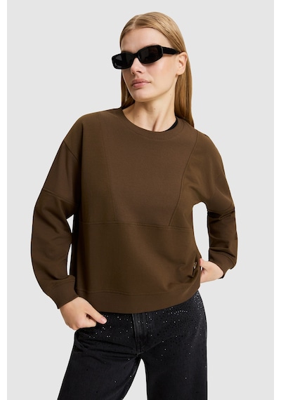 U.S. Polo Assn. Kadın Kahverengi Bisiklet Yaka Sweatshirt 50329004-vr029
