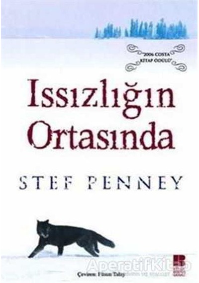 Issızlığın Ortasında - Stef Penney - Bilge Kültür Sanat