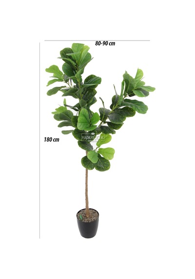Yapay Ağac Ficus Lyrata 180 Cm