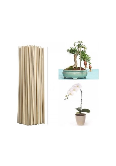 Saksı Fidan Çiçek Bitki Çubuğu Ahşap 100cm - 10 Adet