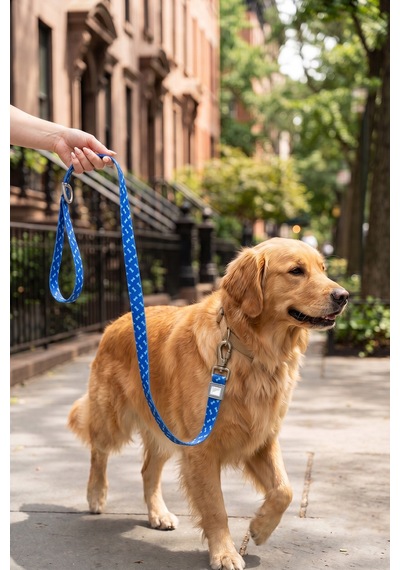 Köpekler İçin Dayanıklı Ve Güvenli, Desenli Gezdirme Tasması 25mm Lacivert