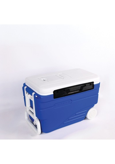 Icepeak Coolcraft Tekerlekli Buzluk 36 Litre Çok Renkli