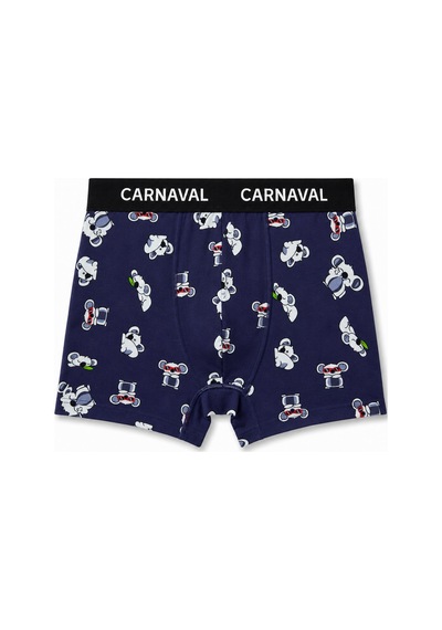 Carnaval Socks Carnaval Lazy Friends Erkek Boxer 3 Lü Set Çoklu