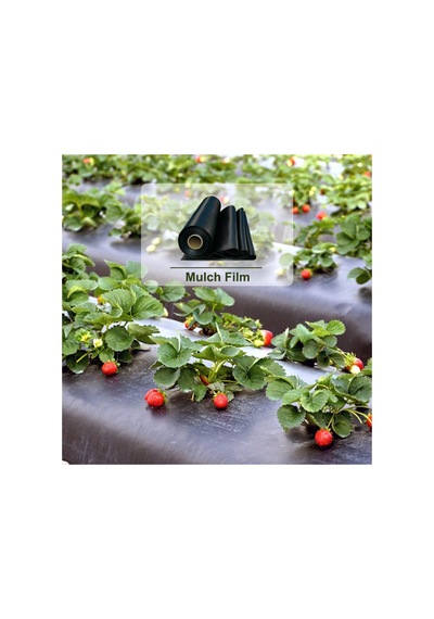 Hbv000012cuyq Çilek Mulch 130cm -