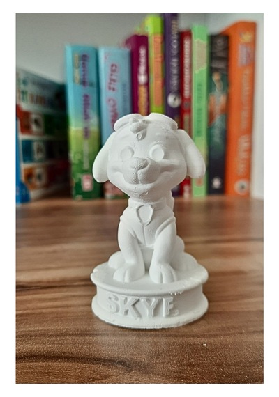 Paw Patrol Skye, Marshall, Rubble Ve Chase Pati Devriye Beton Biblo Çocuk Boyama Etkinliği