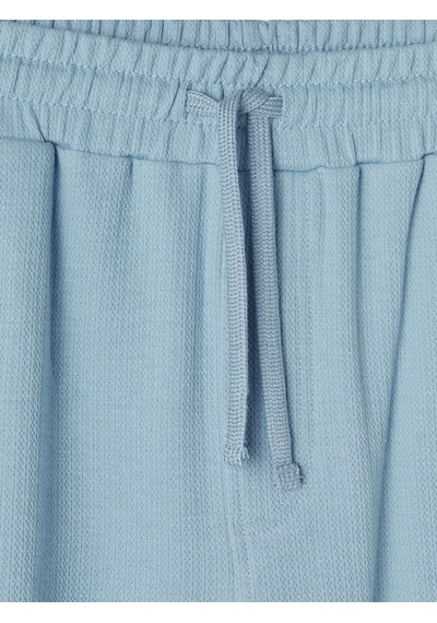 Lcwaıkıkı Classic Mavi Regular Fit Erkek Şort