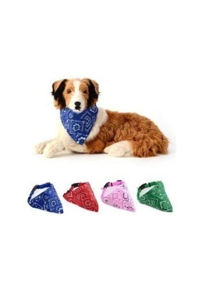 Lion Pet Fularlı Köpek Boyun Tasması Karışık Renk M/l Çok Renkli