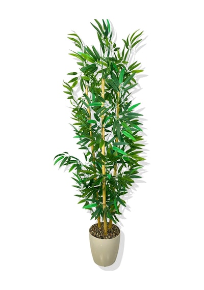 Cihan Çiçekçilik Yapay Yapraklı Bambu Ağacı 3 Bambu'lu 140 Cm Beyaz- Yeşil