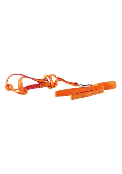 Euro Dog Köpek Uzatma Tasması+göğüs Tasması 25mm 120cm Turuncu
