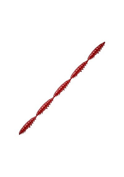 Libra Lures Larva Multi Garlic Sarımsak Aromalı Red 2.5 Cm Suni Yem