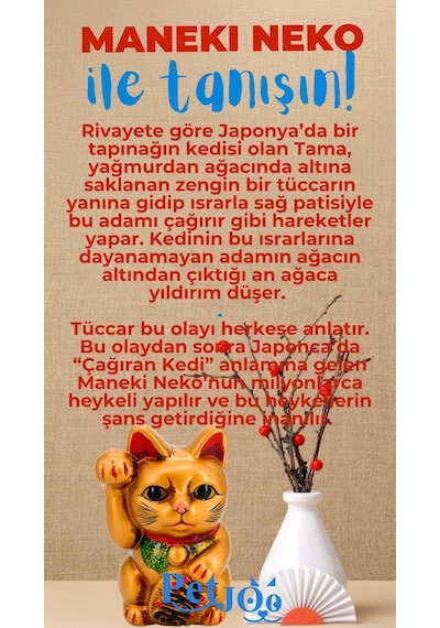 Petjoo 4.Maneki Neko Mavi-Kırmızı Qr'lı Kedi Künyesi