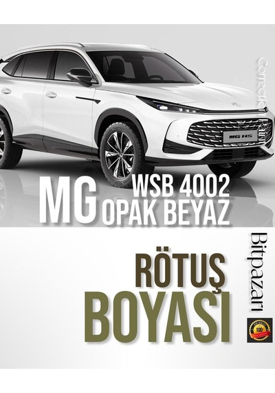 Mg , Zs, Zs Ev, Ehs, Hs, Mg4 Wsb 4002 Beyaz 20ml Rötuş Boyası Çizik Ve Taş İzi Onarıcı