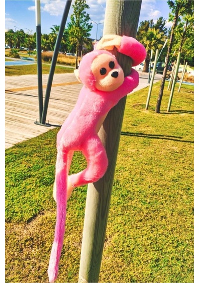 Sevimli Sarılan Sesli Maymun Pembe PEMBE