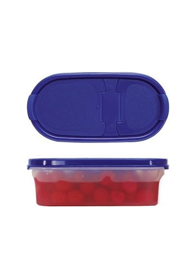 Tupperware Oval Kuru Gıda Saklama Kabı Oval 500 Ml Çok Renkli