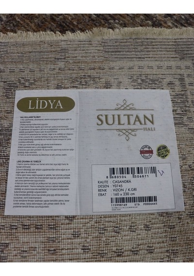 Lidya Toz Tutmaz Ve Tüylenmez Modern Halı - Vizon K.gri Y0745 Çok Renkli