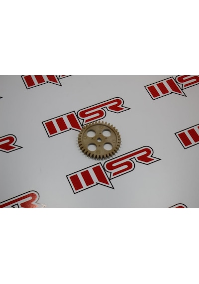 Zealsun 125 37 Diş Yağ Pompa Dişlisi (490466846)