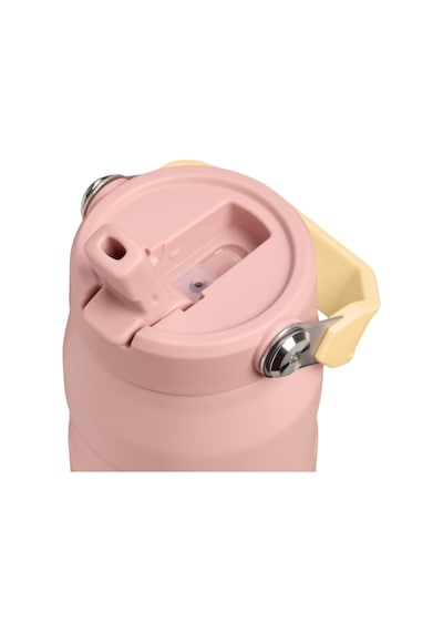 Stanley The Iceflow Bottle Flip Straw Pipetli Termos 2.0 0.7 L - 24 Oz Peach Rose Pembe