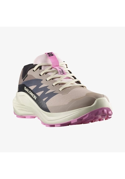 Salomon Alphaglide Gore-tex Kadın Koşu Ayakkabısı L47857900 Bej
