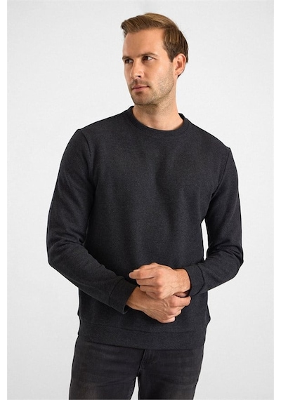Süvari Siyah Regular Düz Bisiklet Yaka Sweatshirt Ssw2013700003-s09