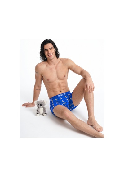 Carnaval Socks Koala Desenli Erkek Boxer Pamuklu Likralı Parlak Lastikli Kutulu Saks Mavi Çoklu