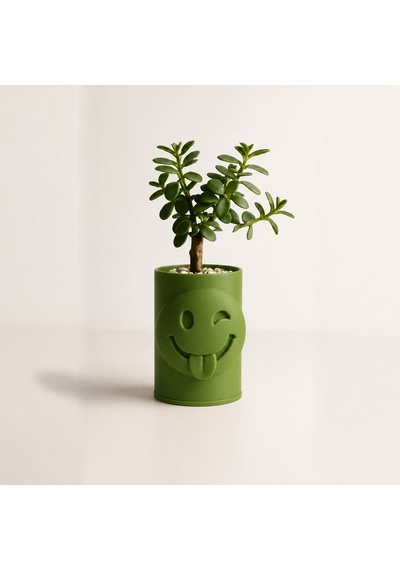 3d Baskı Emoji Planter - Göz Kırpan Yüzlü Sukulent Saksısı-yeşil Çok Renkli