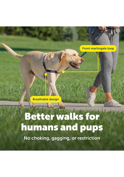 Easy Walk No-pull Köpek Göğüs Tasması, Çekmeyi Önlemeye Yardımcı, Kontrolü Ele Alın Ve Tasmayla Ahudududu/gri