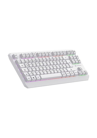 Gamebooster G75 Elya Rainbow Aydınlatmalı Beyaz Tkl Membrane Gaming Klavye