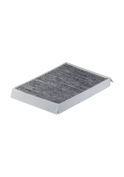 Filtron Karbonlu Polen Filtresi K1237a