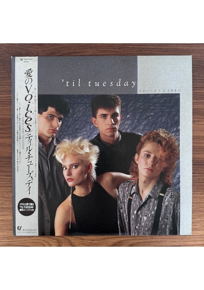 Til Tuesday Voices Carry