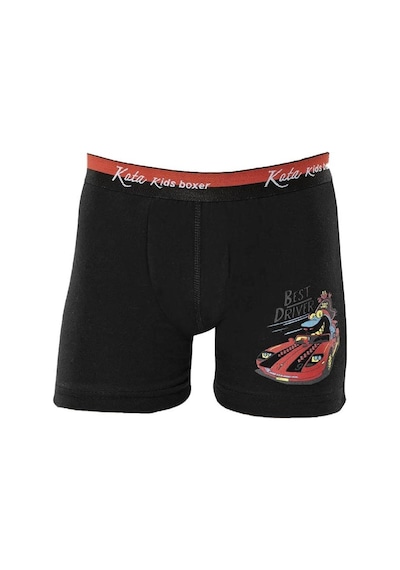 12 Adet Kota Erkek Çocuk Baskılı Likralı Boxer Karışık Renk 1005