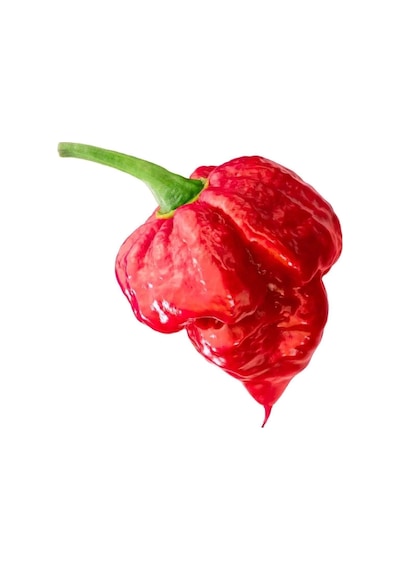 Ithal Nadir Çok Acı Trinidat Scorpion Biber Tohumu 10 Adet Tohum Dünyanın En Acı Akrep Biberi