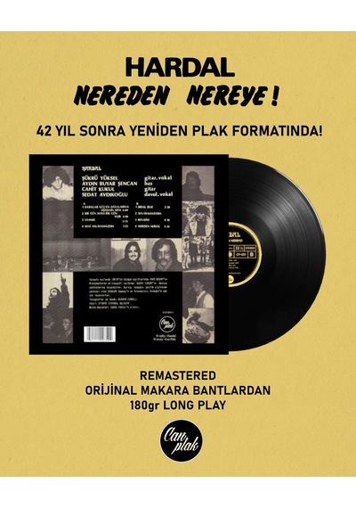 Hardal Nereden Nereye - Plak