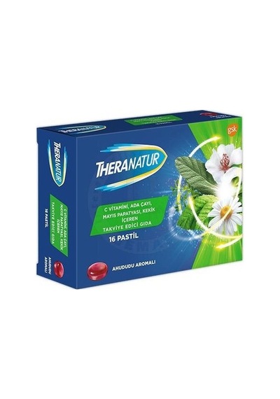 Theranatur Ahududu Aromalı 16 Pastil