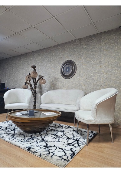 Zafir Teddy Takım Krom Kaplama Sivriltme Ayak Çay Seti Koltuk - Berjer , Balkon, Salon, Ofis Krem Zafir Teddy Takım Krom Kaplama Sivriltme Ayak Çay Seti Koltuk - Berjer , Balkon, Salon, Ofis Krem