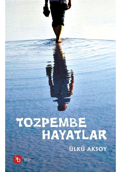 Tozpembe Hayatlar / Ülkü Aksoy