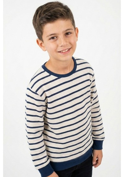 Breeze Erkek Çocuk Sweatshirt Arma Detaylı 4-10 Yaş, Beyaz
