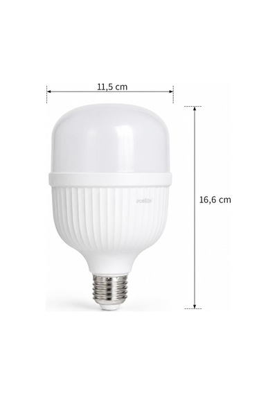Ecolite Jumbo Led Ampul 36w