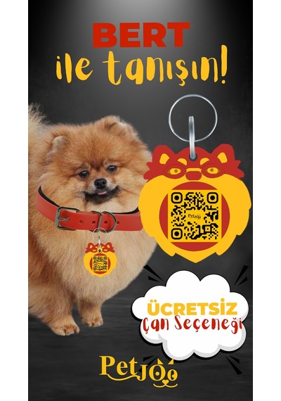 Petjoo 13.Bert Sarı-Kırmızı Qr'lı Köpek Künyesi